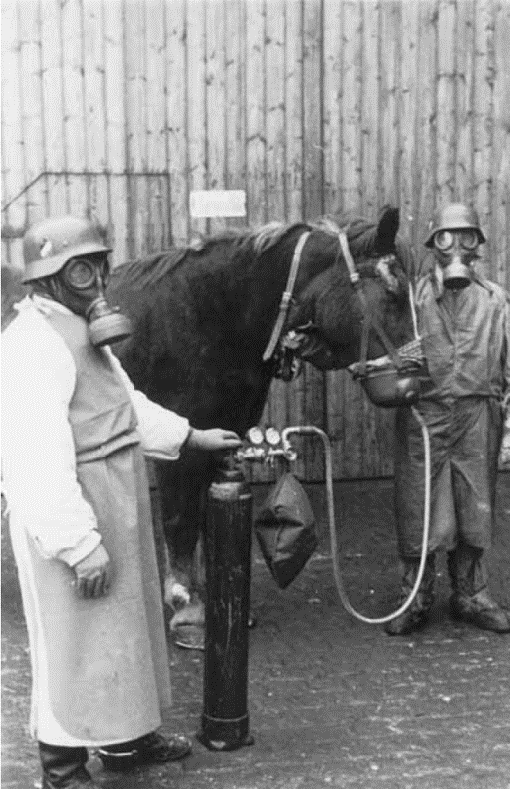 Gas Course for men and beasts which took place at Eich, 1939.