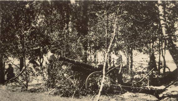 A mountain artillery piece emplaced and masked in a wooded zone.