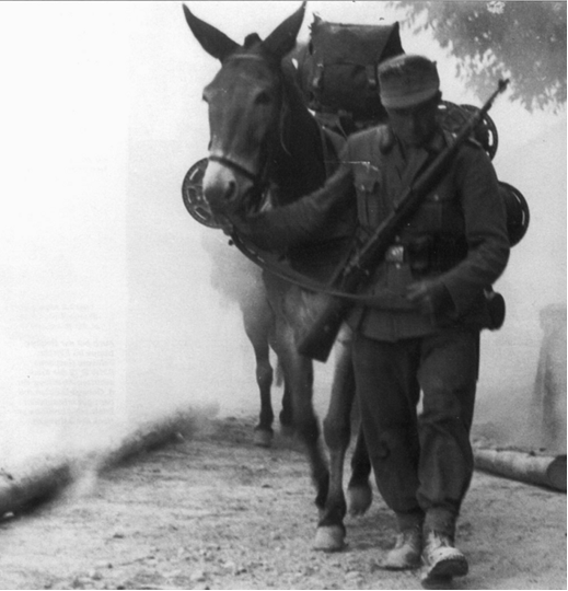 The gebirgsjäger (Comms branch) and his mule marching through Poland...........
