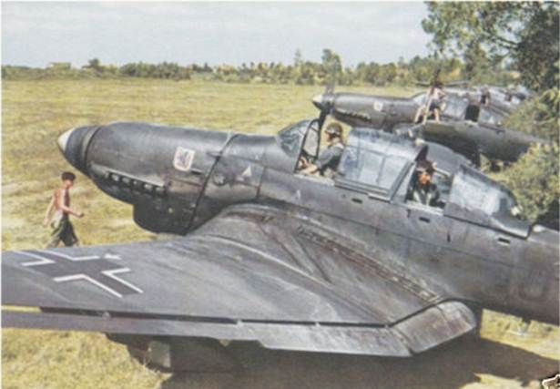 Ju-87 lined up on the forest's edge..............................