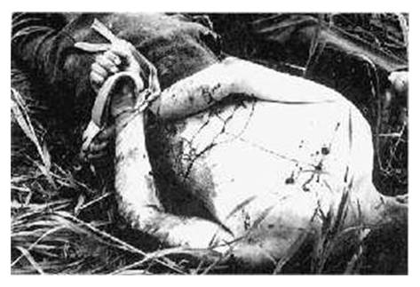 A slaughtered German POW with his hands tied on his back........................