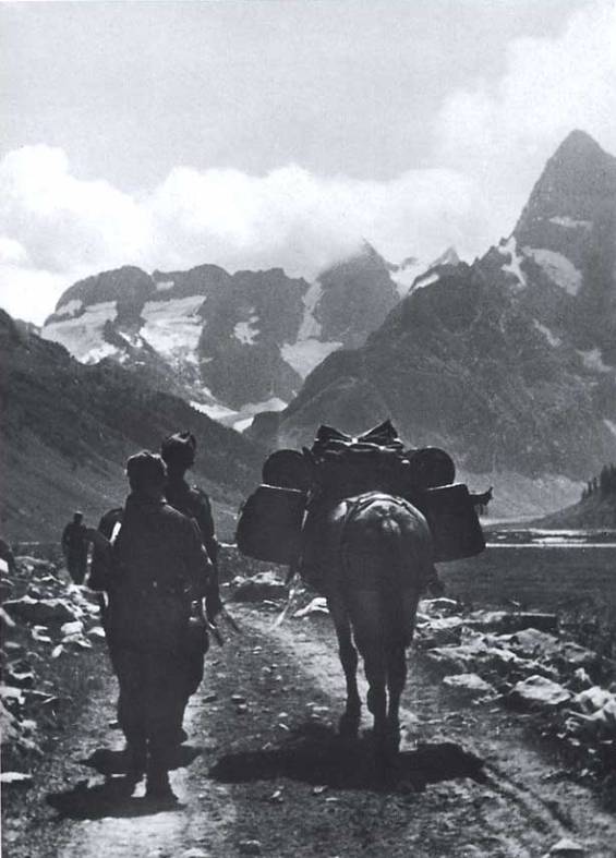 The Mountain hunters marching in the direction of the mountain’s passes of the Caucasus but they never would reach the Black Sea.