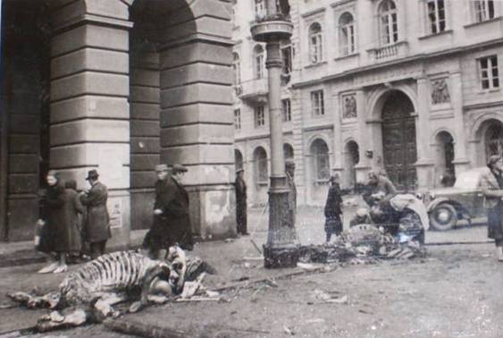 The living conditions of the inhabitants of Warsaw were appalling................