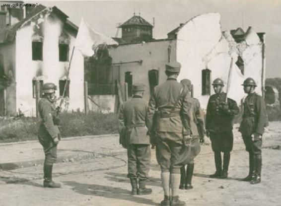 German and Polish troops during a cease-fire around Lwow / Lemberg. See the helmet (French style) used by those Polish troops.