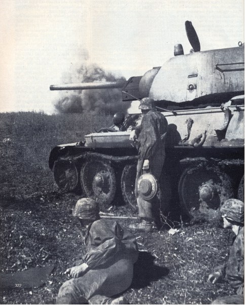 Troops of the SS-Kavallerie Div &quot;Florian Geyer&quot; facing the T-34 with T-mines.....................